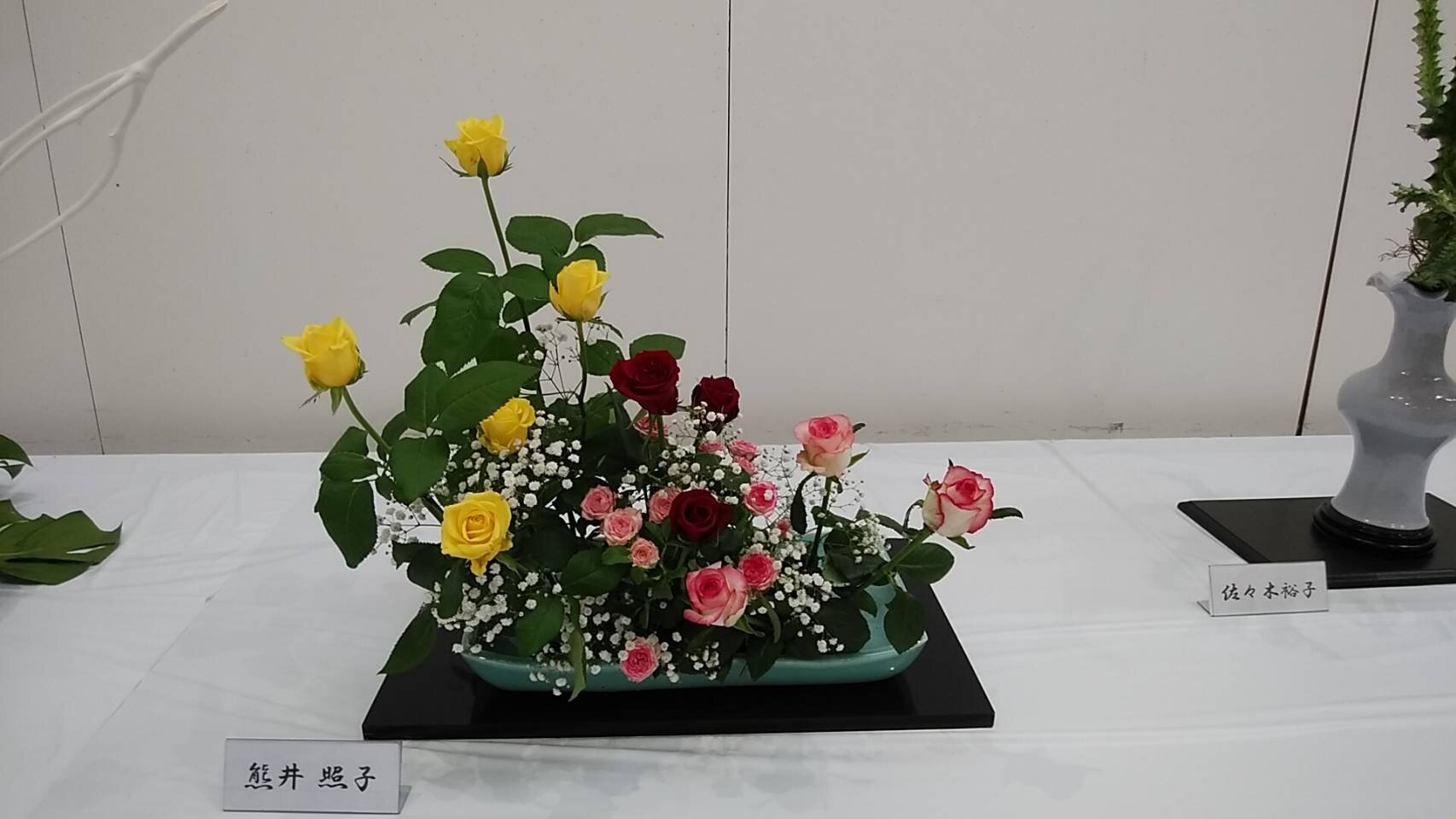 IMG_2531.JPG
