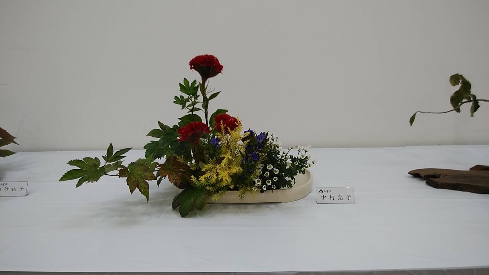 IMG_2535.JPG