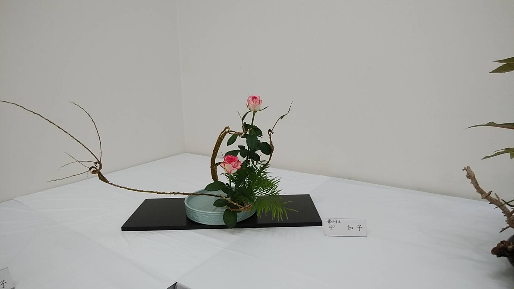 IMG_2537.JPG