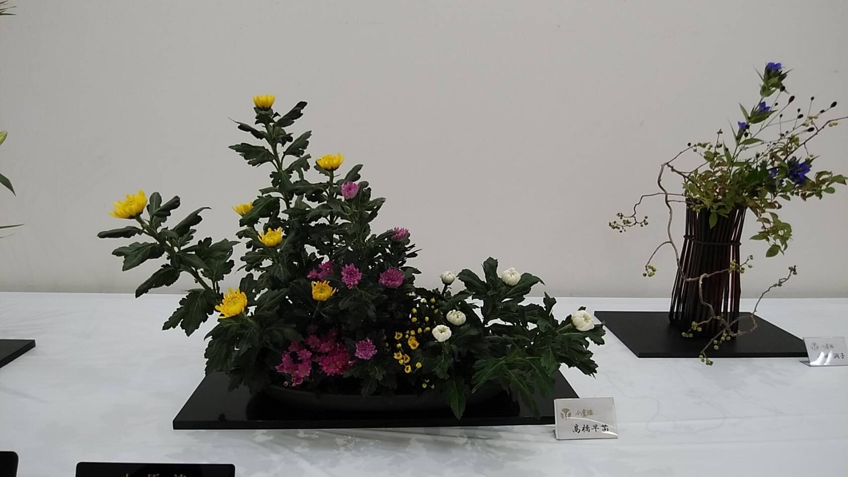 IMG_2539.JPG