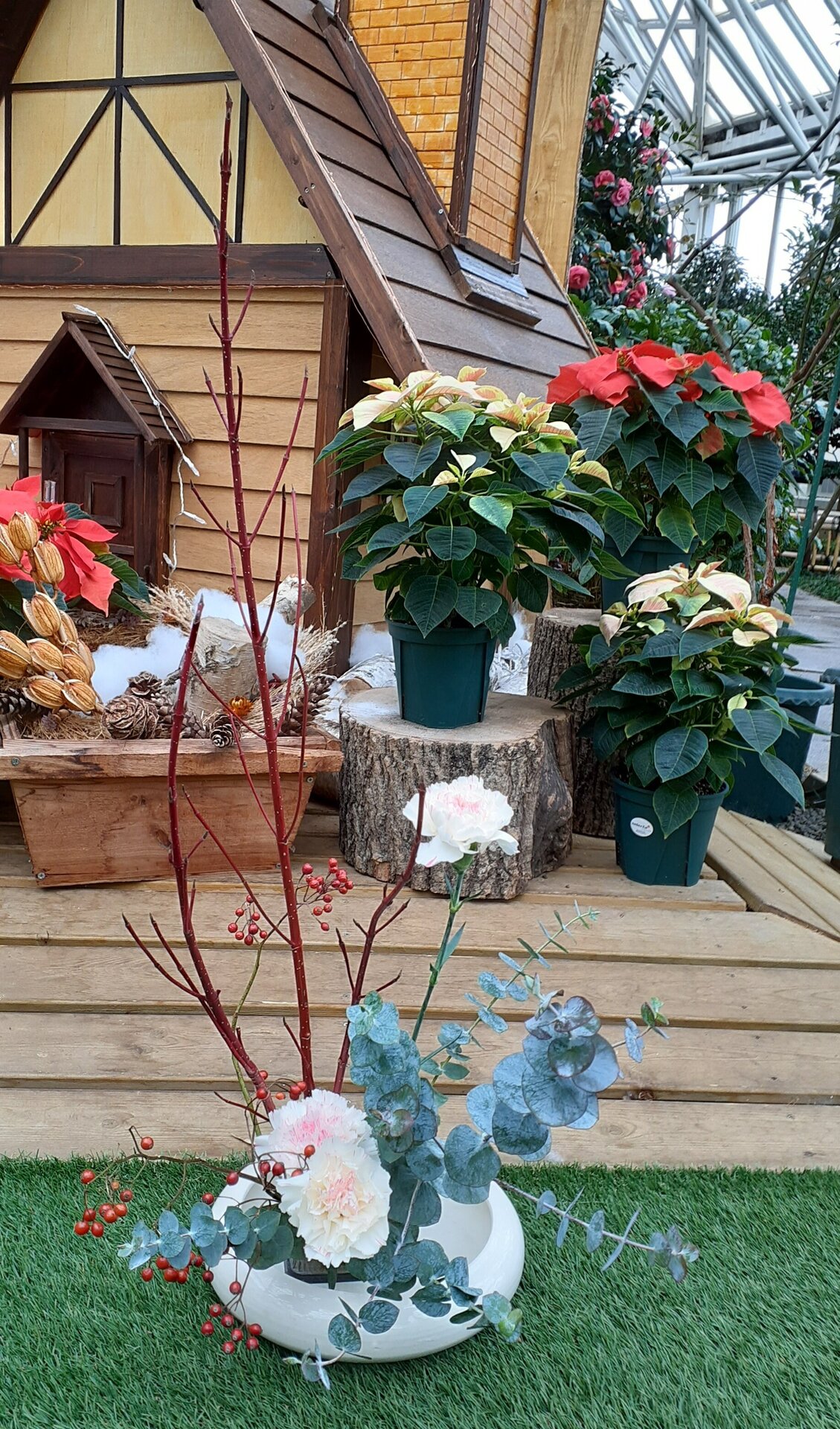 クリスマス苫小牧1.jpg