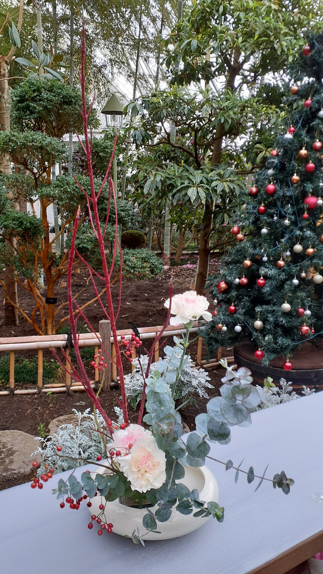 クリスマス苫小牧2.jpg