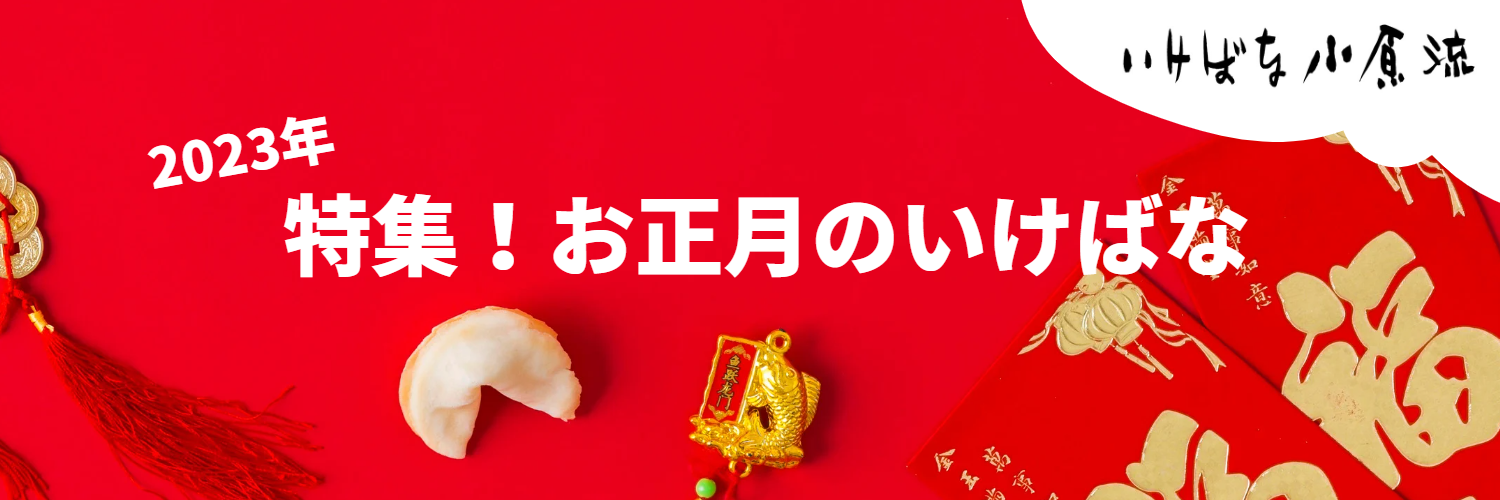 a49dbada245d286f60d01e264a58d87bc2d93271-thumb-1500x500-7735 (1).png