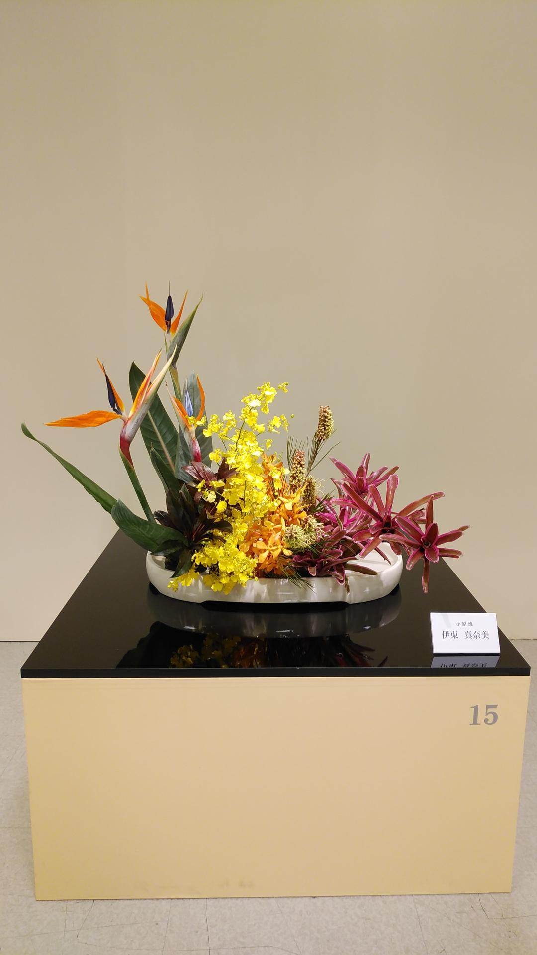 DSC_0208.png