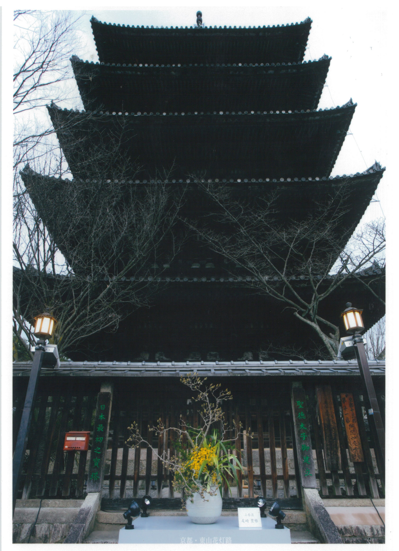 京都・東山花灯路 いけばなプロムナード9.png