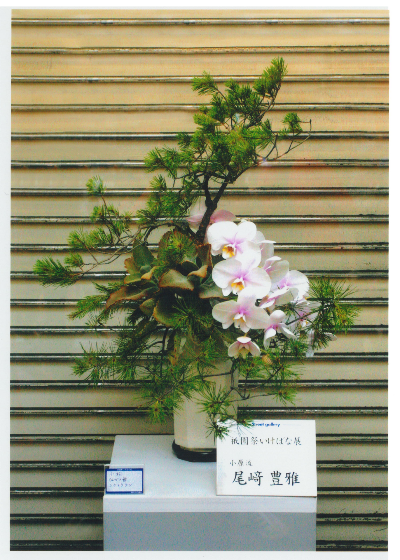 祇園祭商店街いけばな２.png