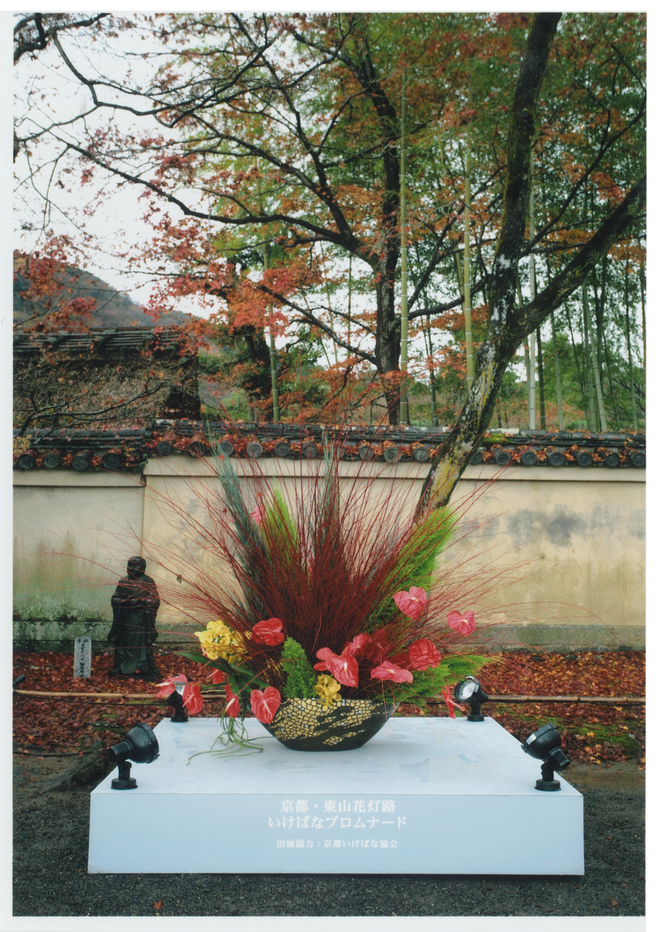 京都・東山花灯路 いけばなプロムナード２.png