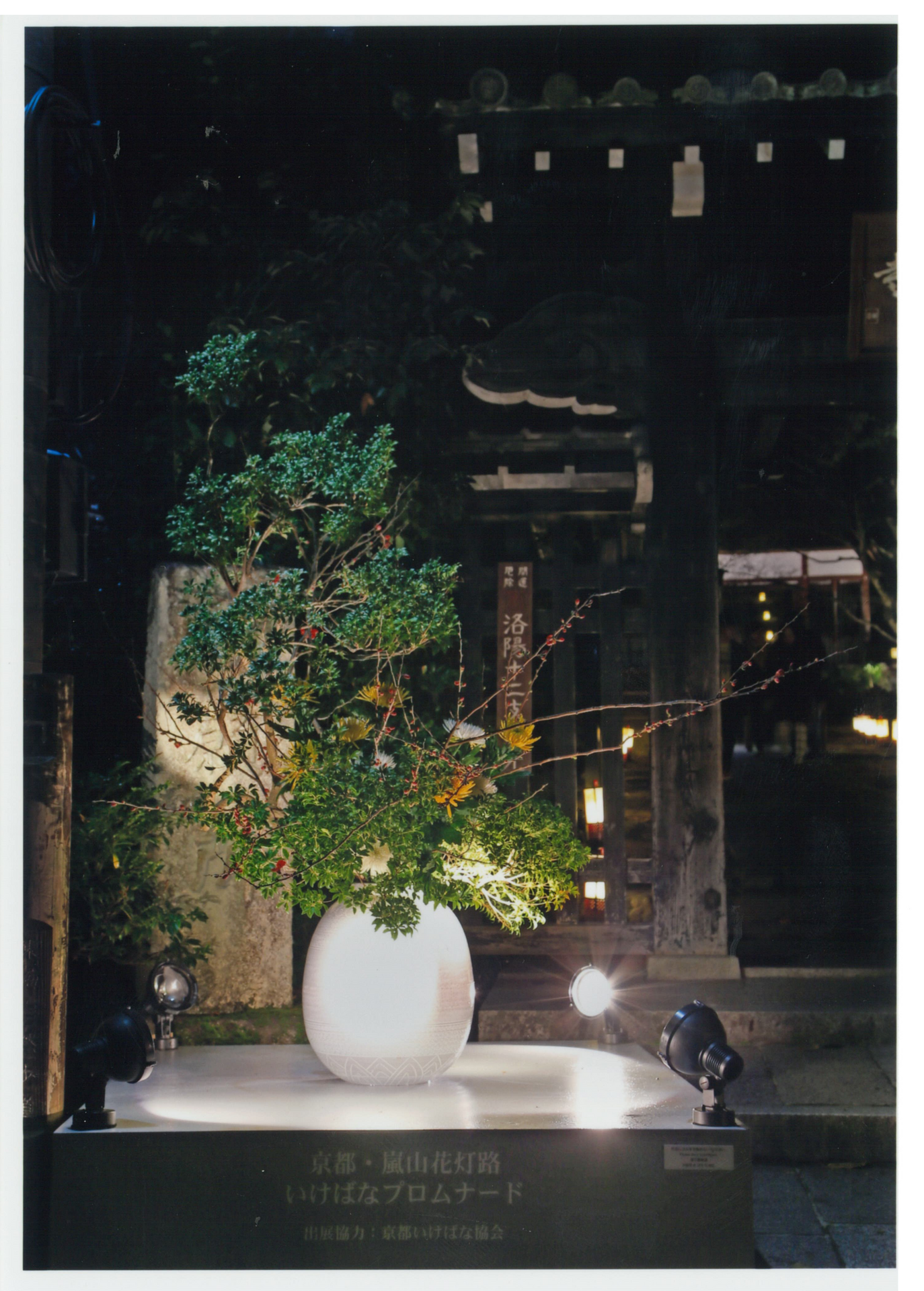 京都・東山花灯路 いけばなプロムナード3.png