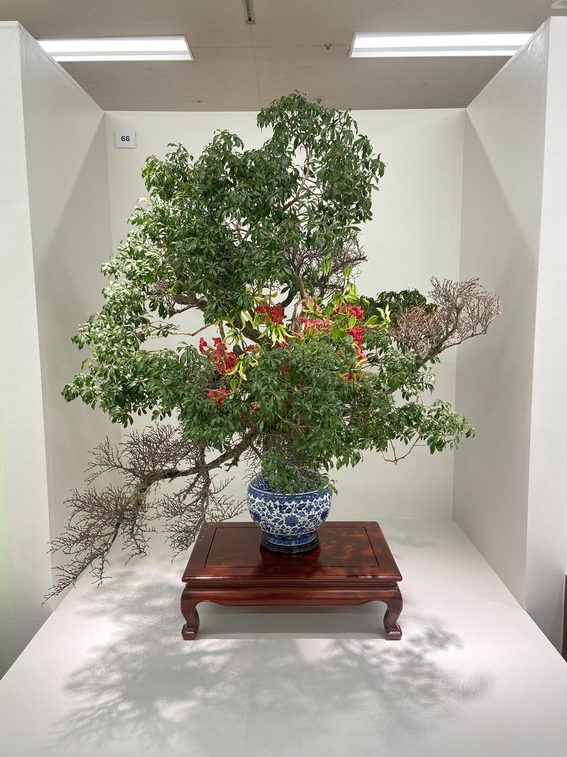 日本いけばな芸術中国展.jpg