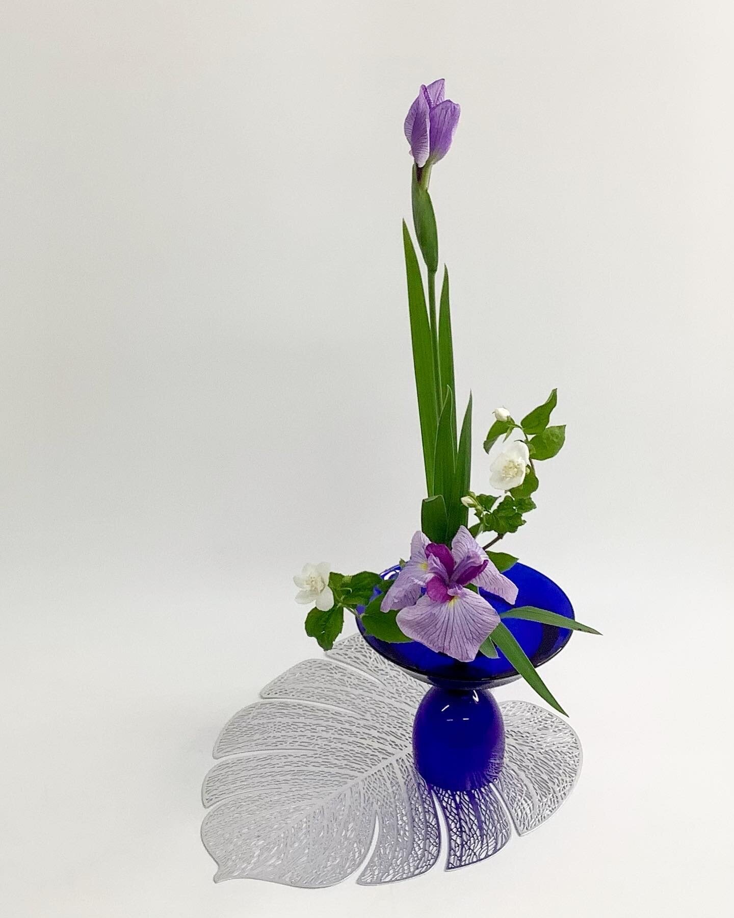 花菖蒲02.jpg