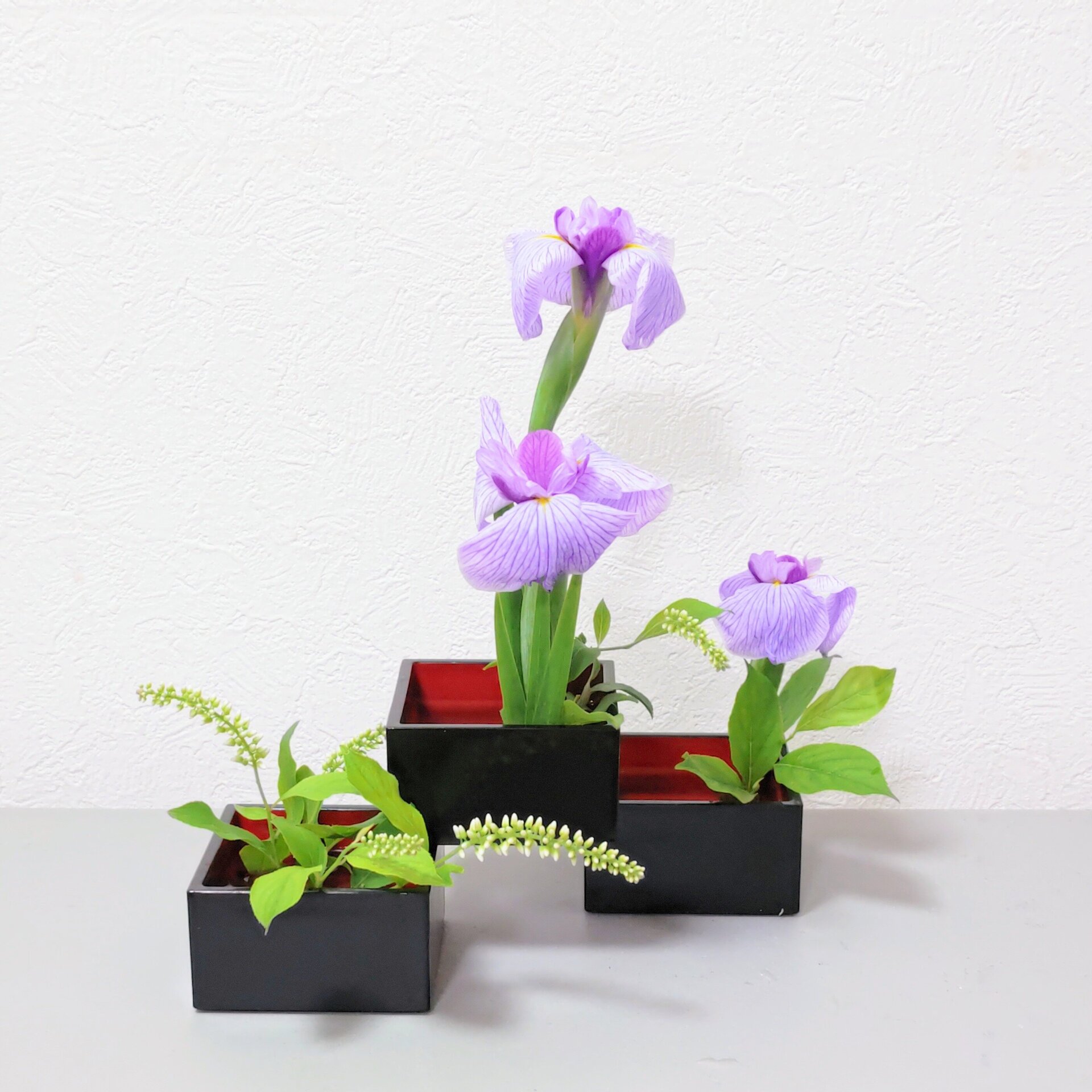花菖蒲1.jpg