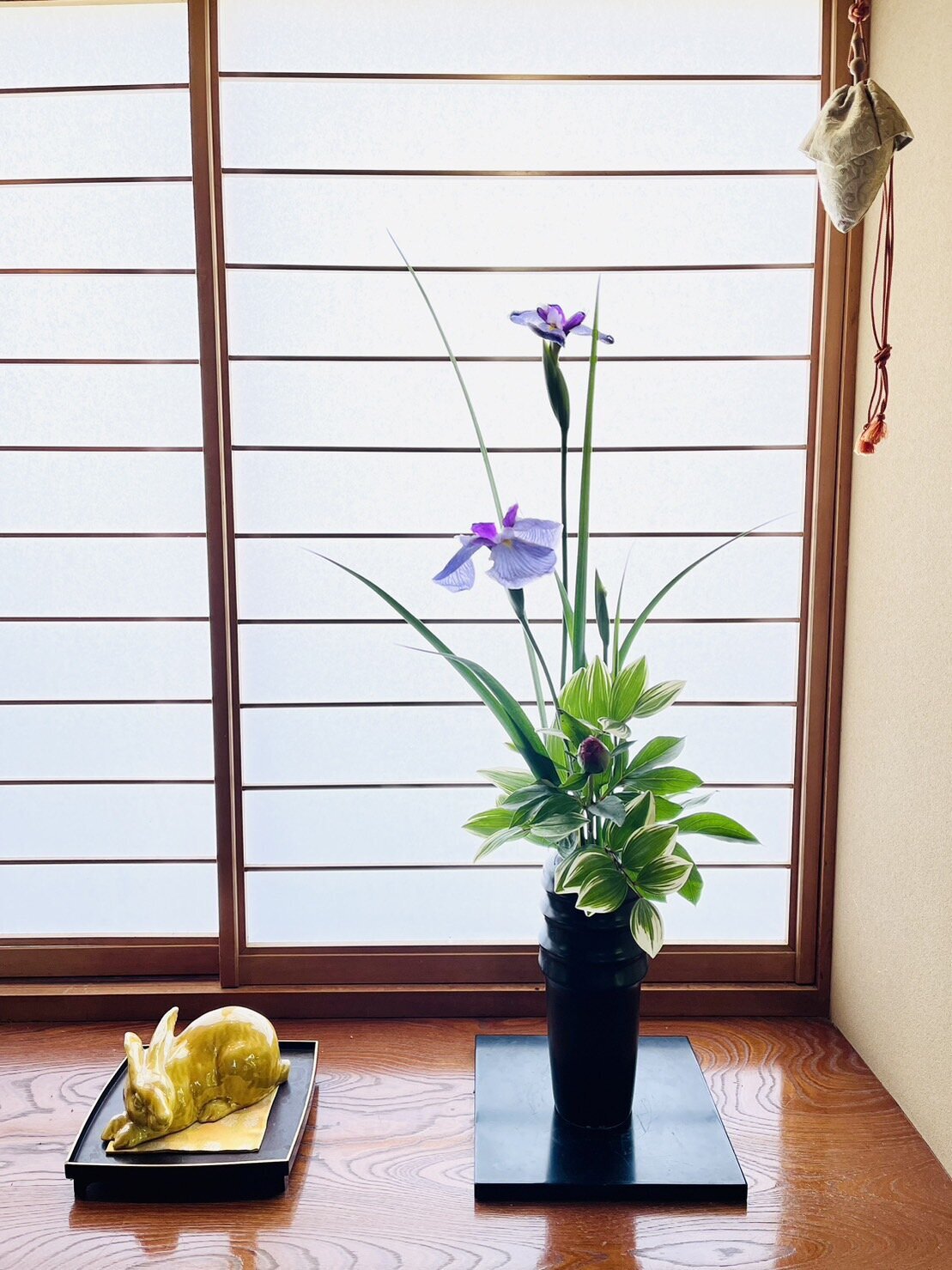 花菖蒲3.jpg
