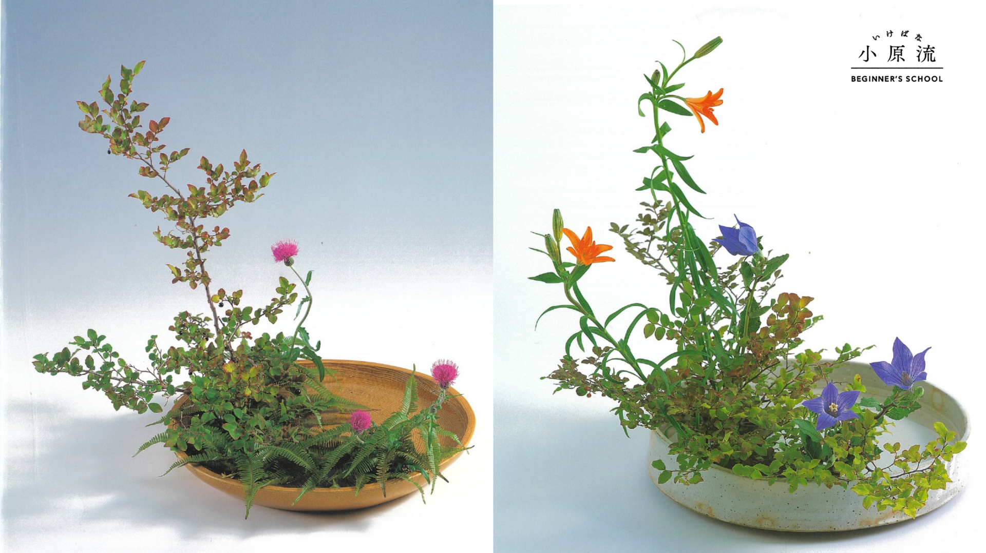 花専科HP用作例.png