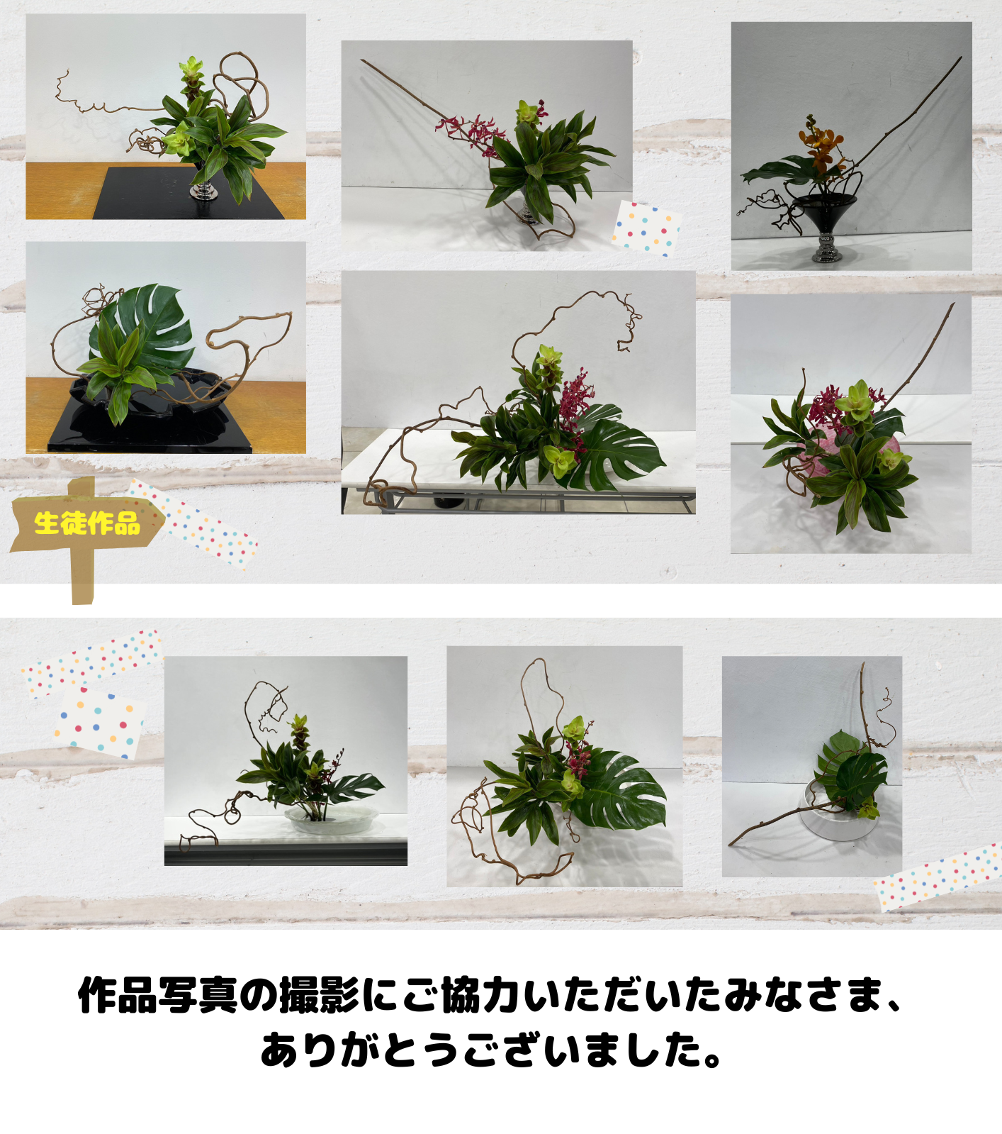 松田先生SP_作品画像3.png