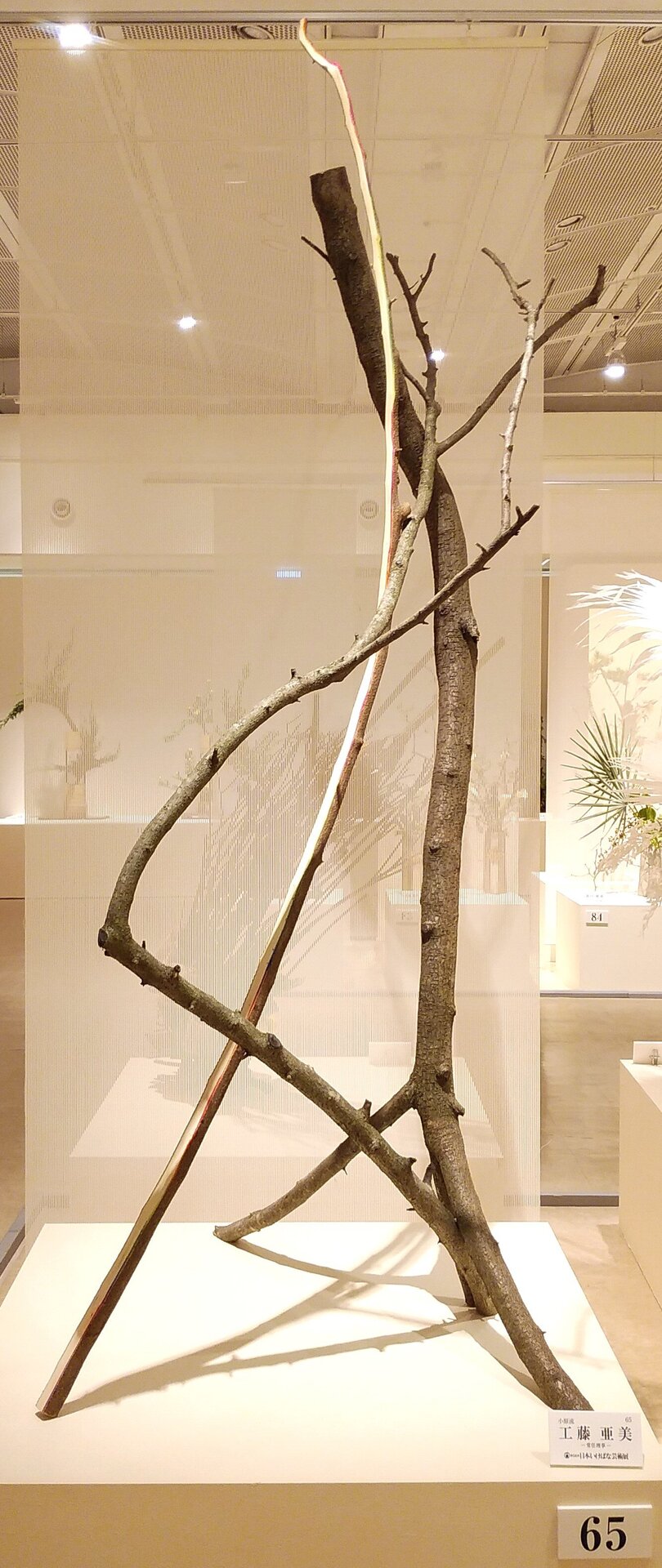 65番　工藤亜美③.jpg