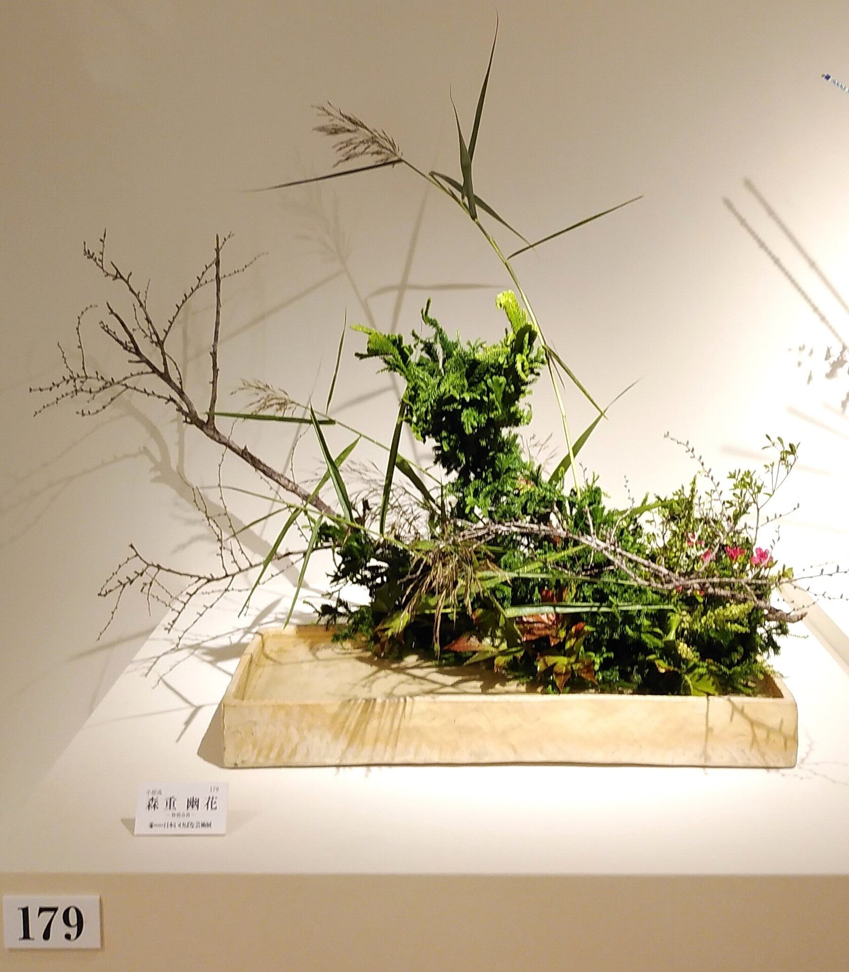 179番　森重幽花①.jpg