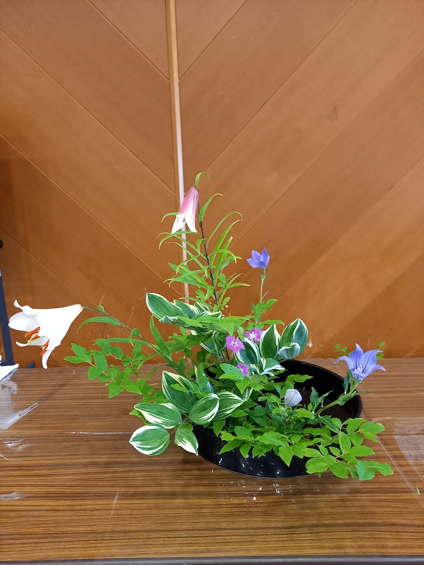 夏の多種挿し.jpg