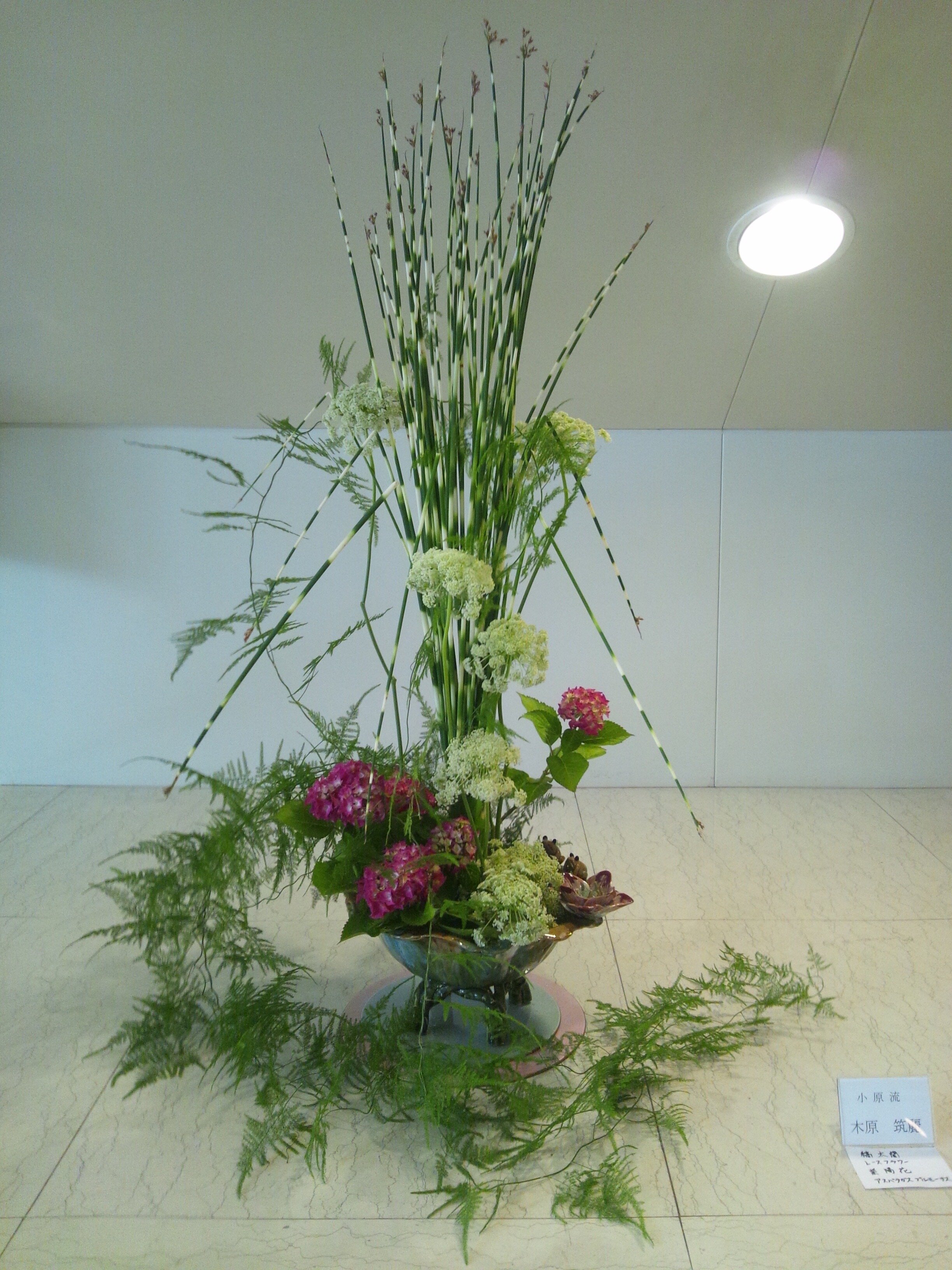 木原先生作品.jpg