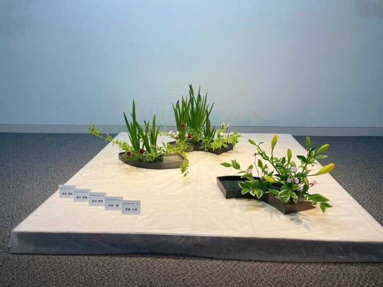 花の輪・人の輪ーみんなの花展 白山・野々市地区展（金沢支部