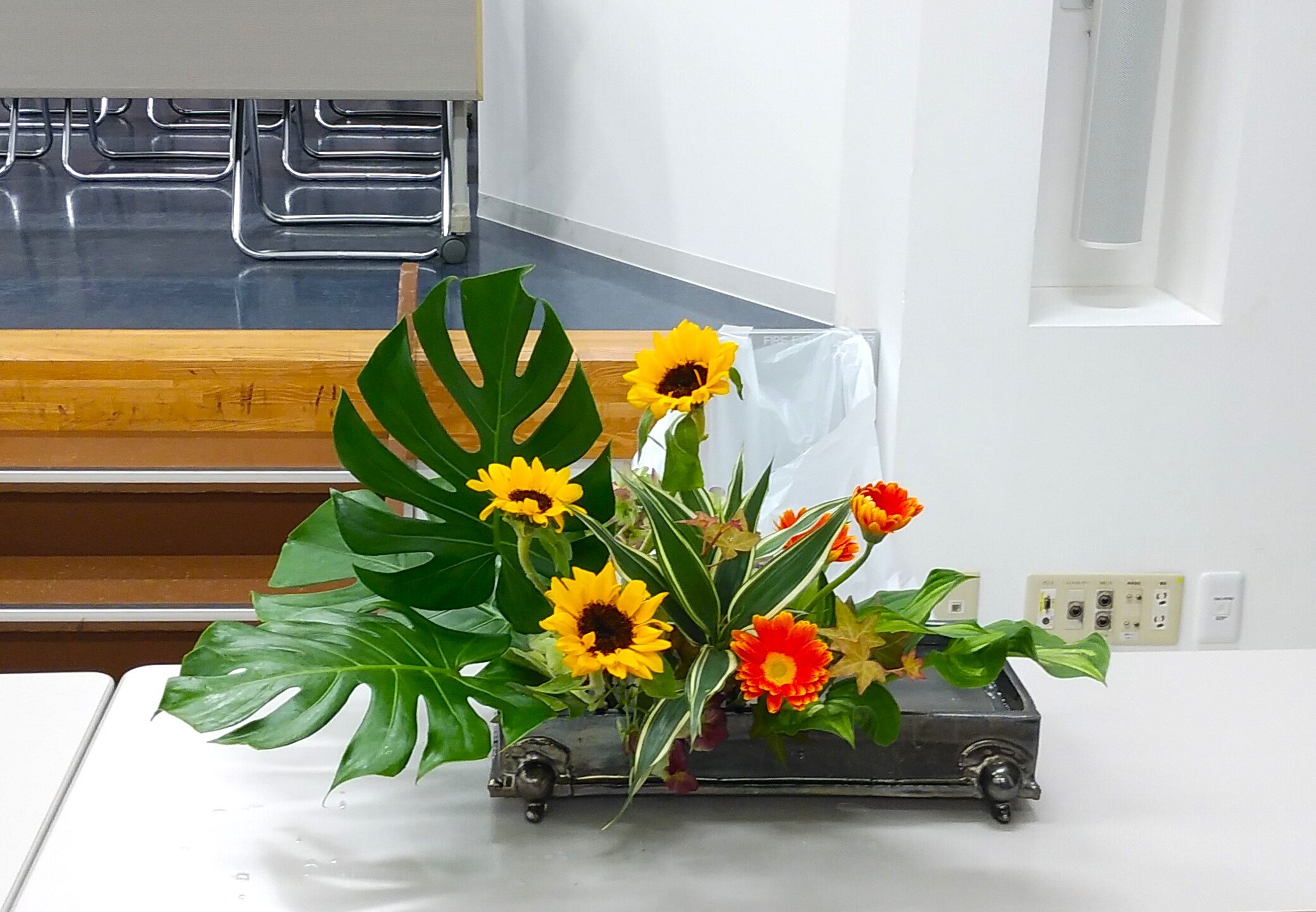 札幌研修士盛花３.jpg