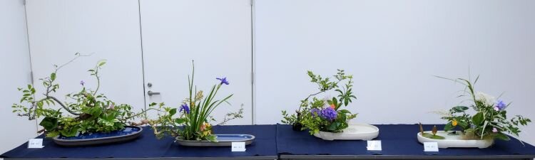 花の輪・人の輪ーみんなの花展 花🌸煌めく（磐田支部