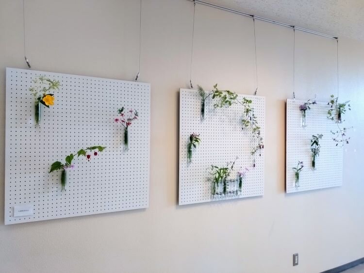 花の輪・人の輪ーみんなの花展 花🌸煌めく（磐田支部