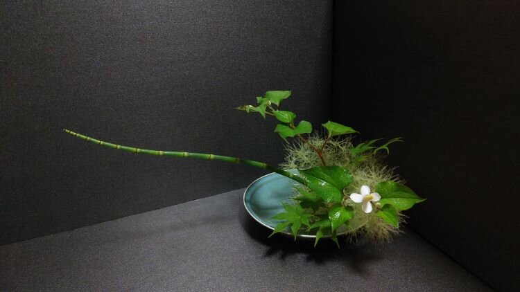 ④520730 岸本登紀子十薬.jpg