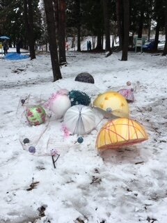 雪.jpeg