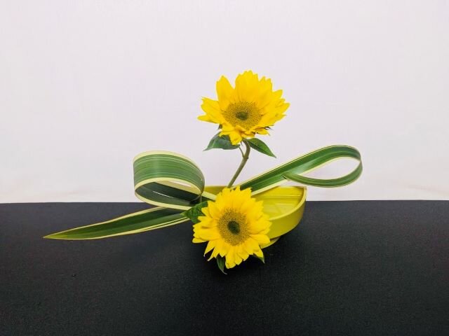 402佐藤莉々珂.jpg
