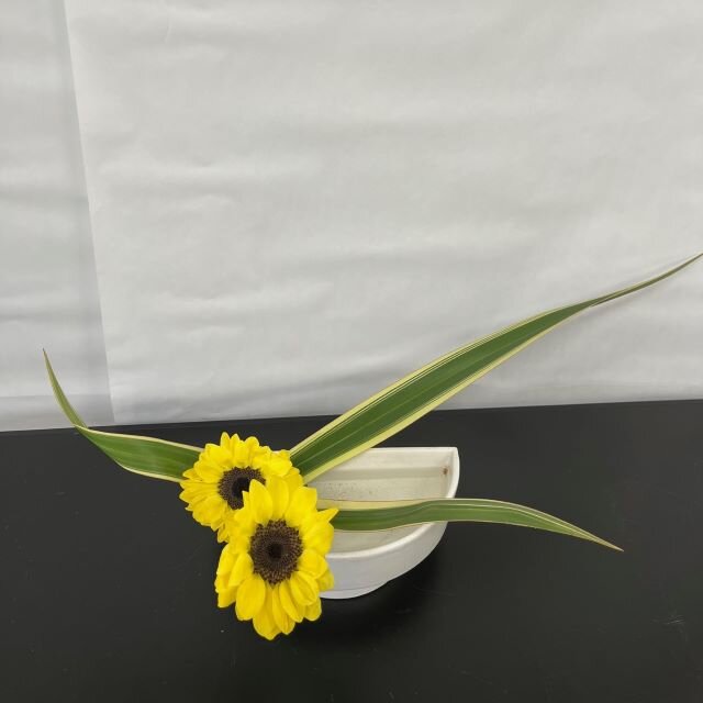 345髙橋 寧々花.jpg