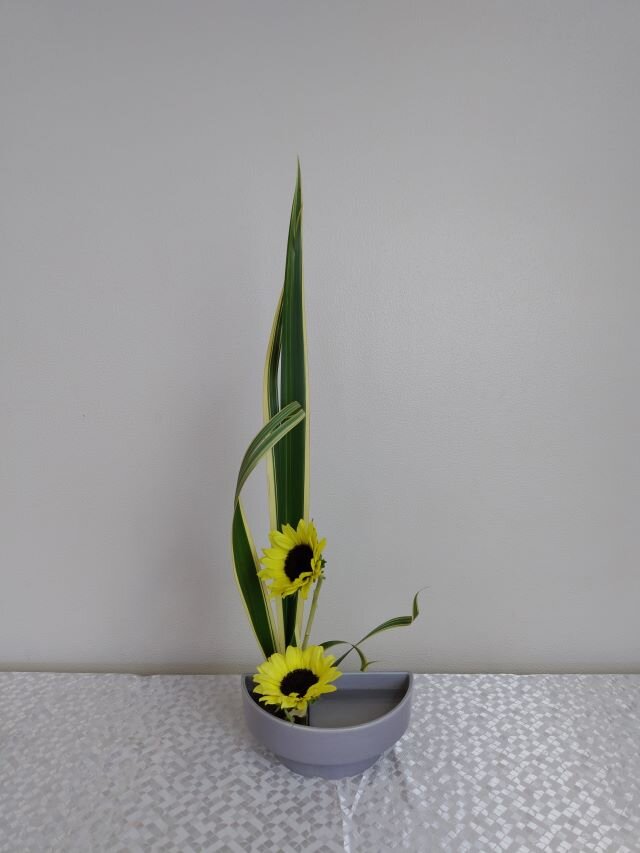 419山崎 媛花.JPG