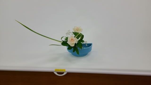 25八木橋 好美_risize.jpg