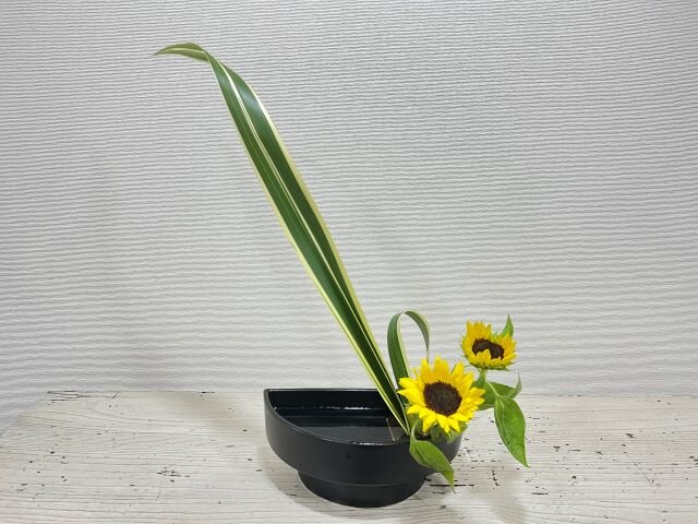 412菅原瑠華.jpg