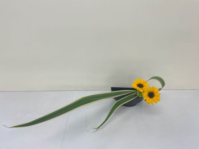 171福田 美桜.jpg