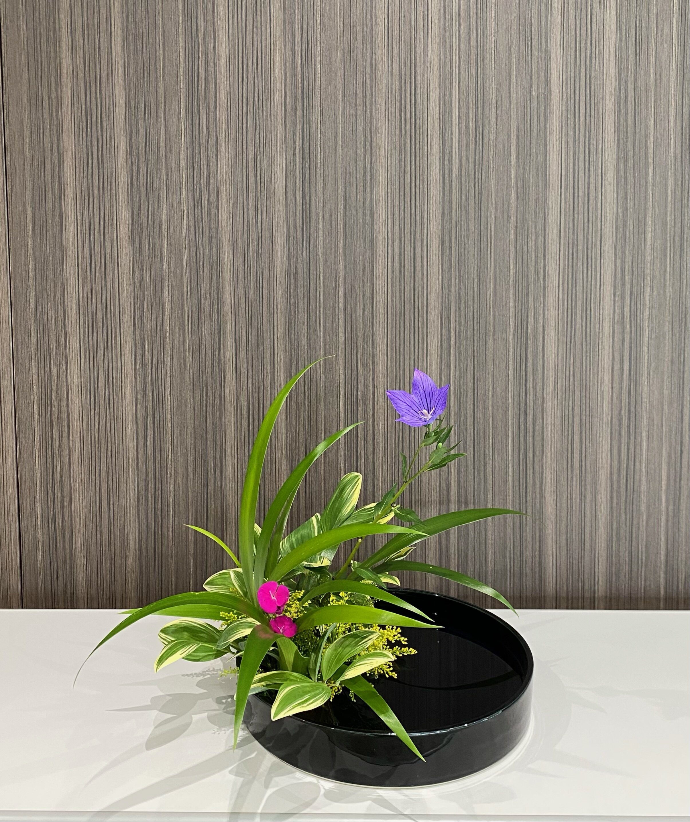 image6.jpeg