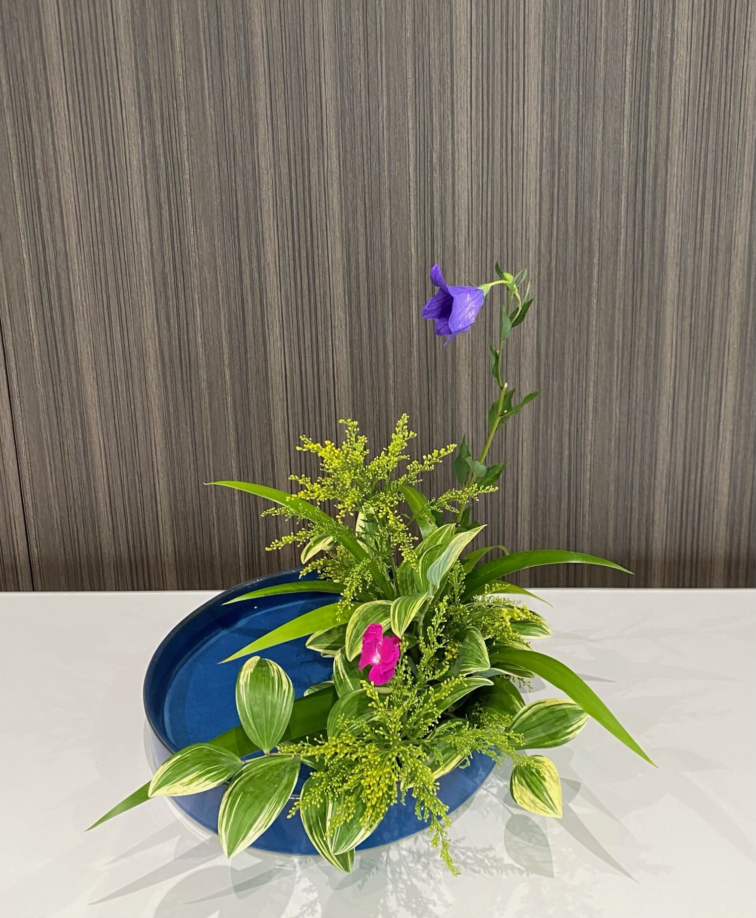 image7.jpg