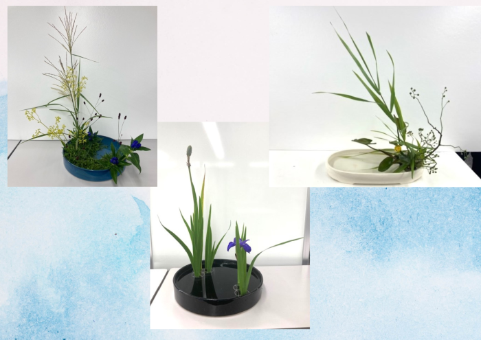 秋の盛花.png