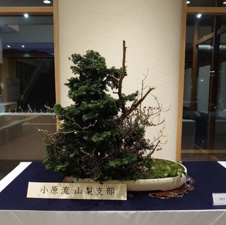山梨チャット5.jpg