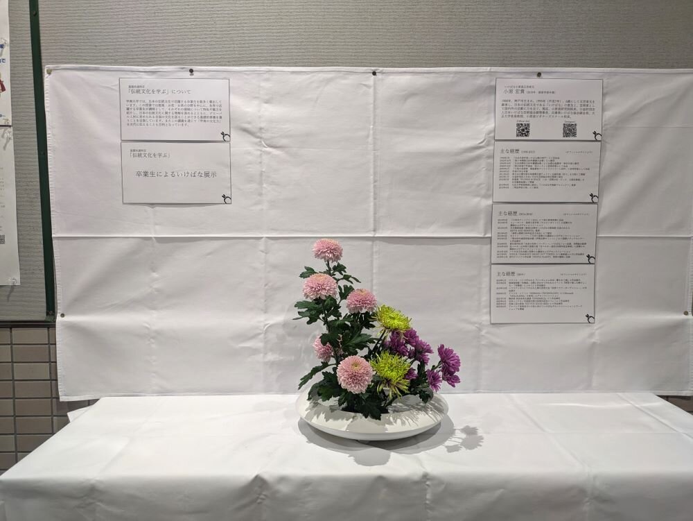 PXL_20241118_033653511 (1).jpg