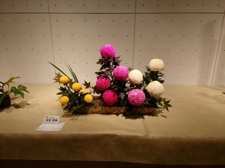 花の輪・人の輪ーみんなの花展 大分支部ふれあい花展（大分支部