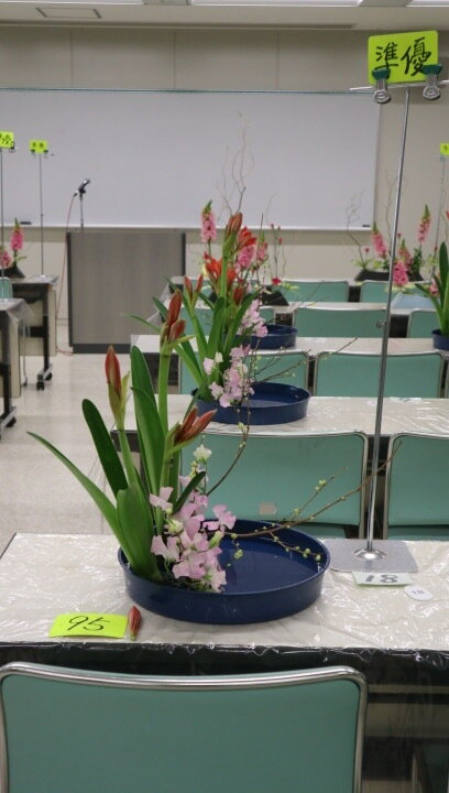 2025札幌アマリリス準優秀花.jpg