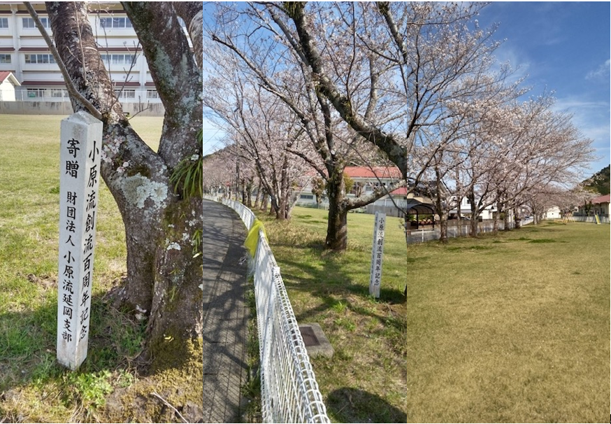 桜.png
