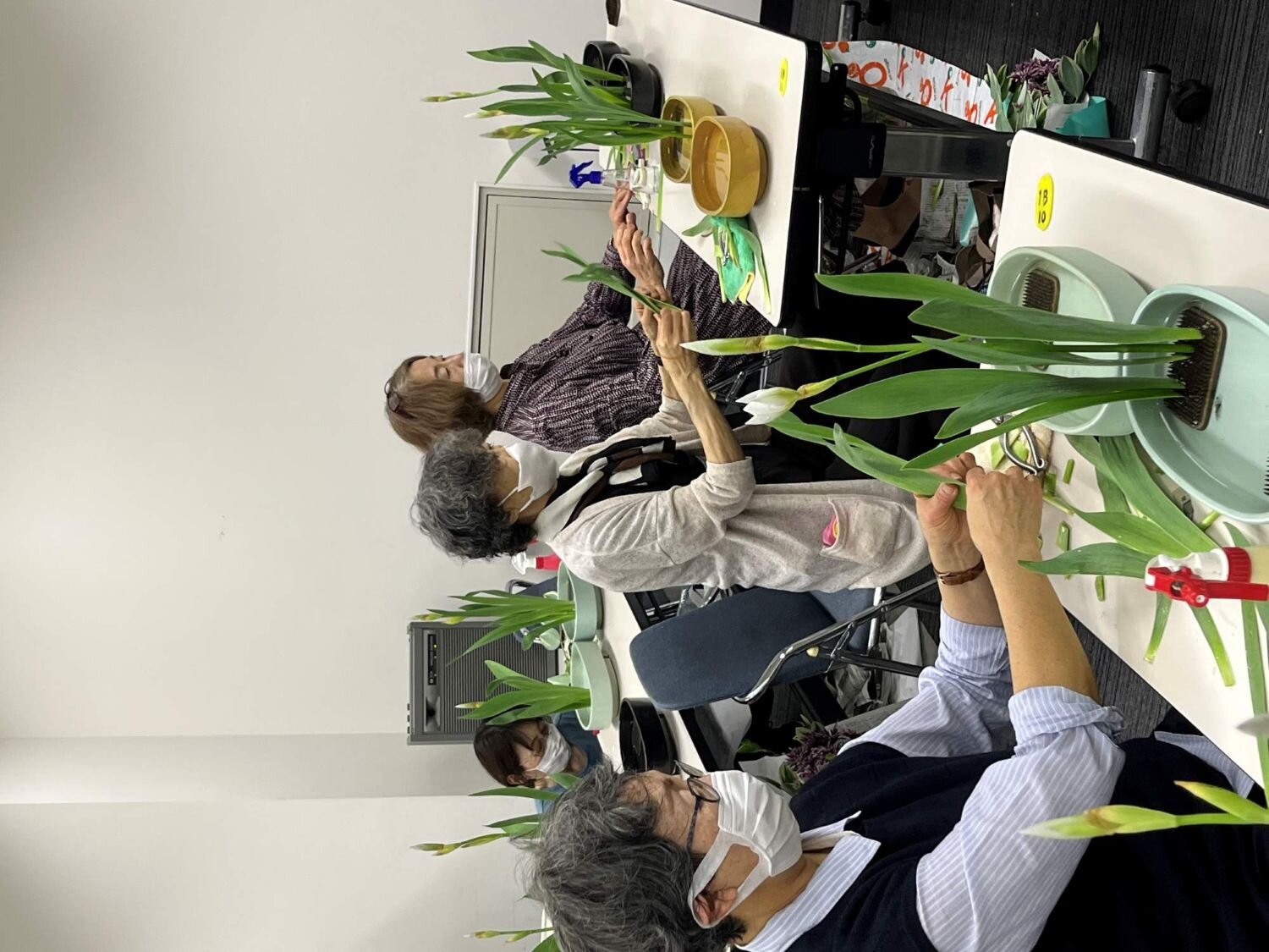 横浜支部いけｐ.jpg