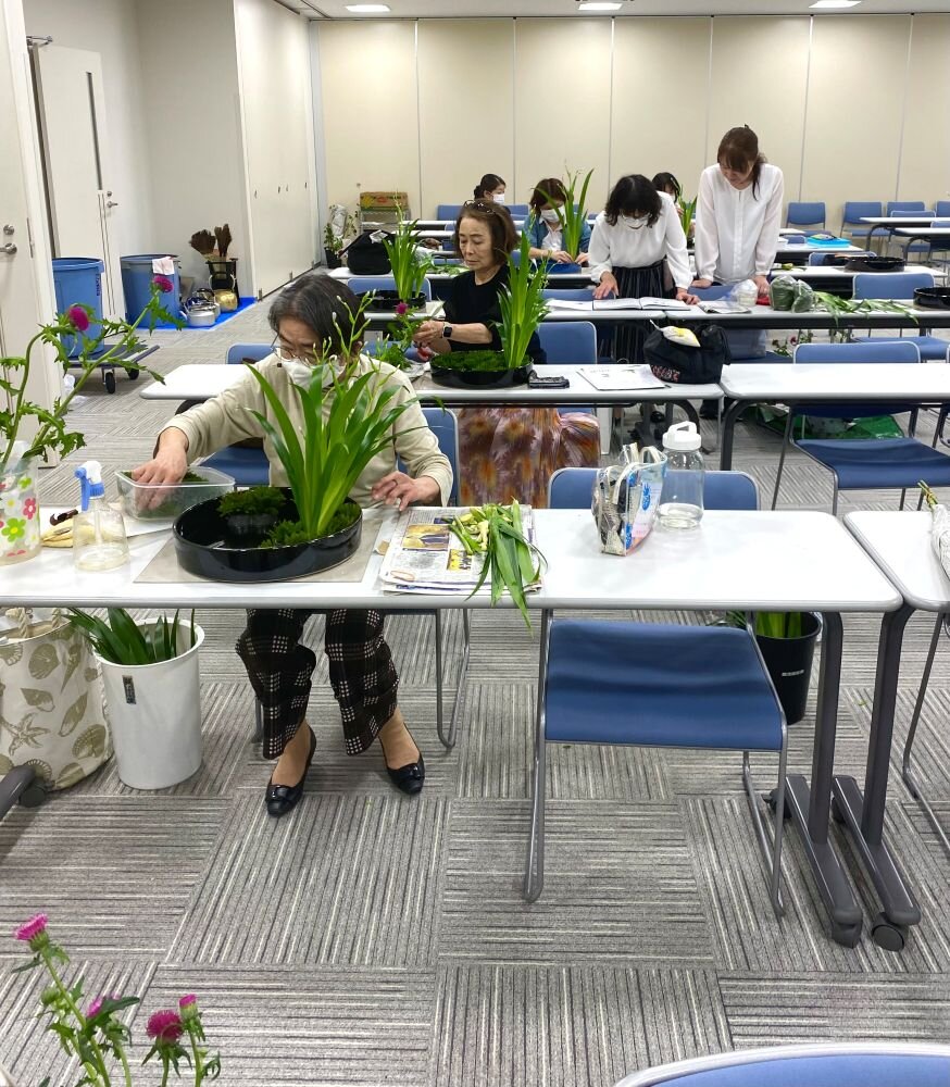 山形薊.jpg