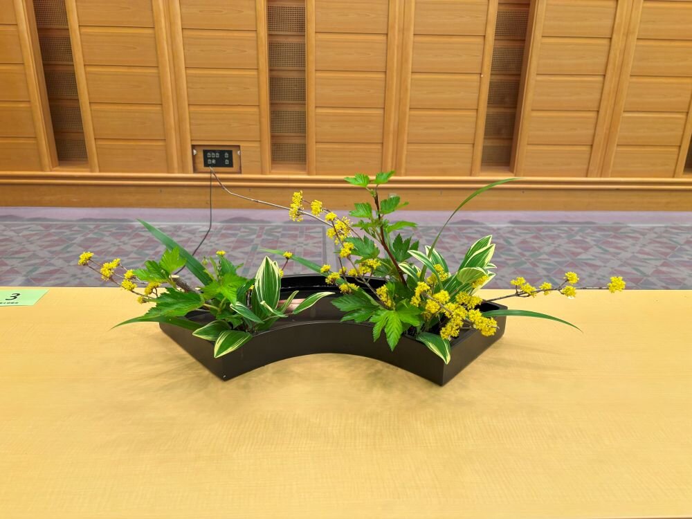 高松11.jpg