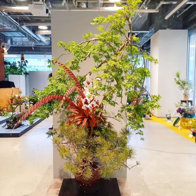 豊橋支部周年_250524_25 (13-resize).jpg