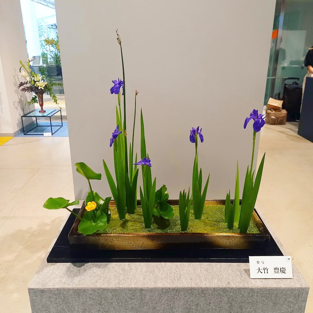 豊橋支部周年_250524_25 (14).jpg
