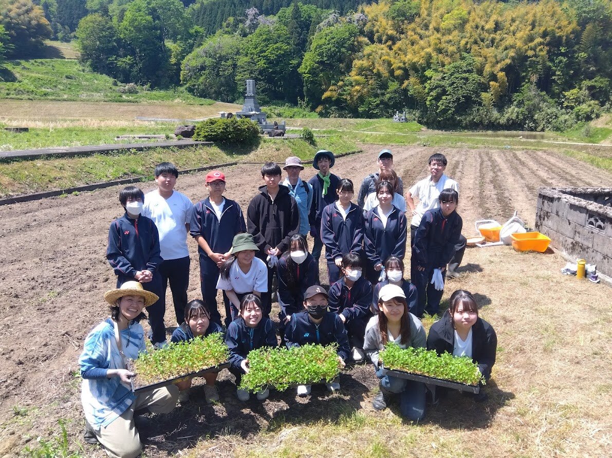 藍染苗植え.jpg