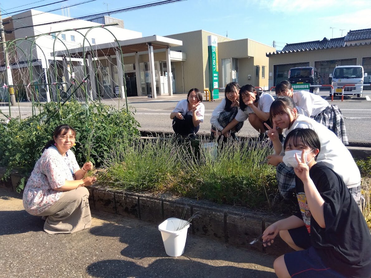ラベンダー染め.jpg