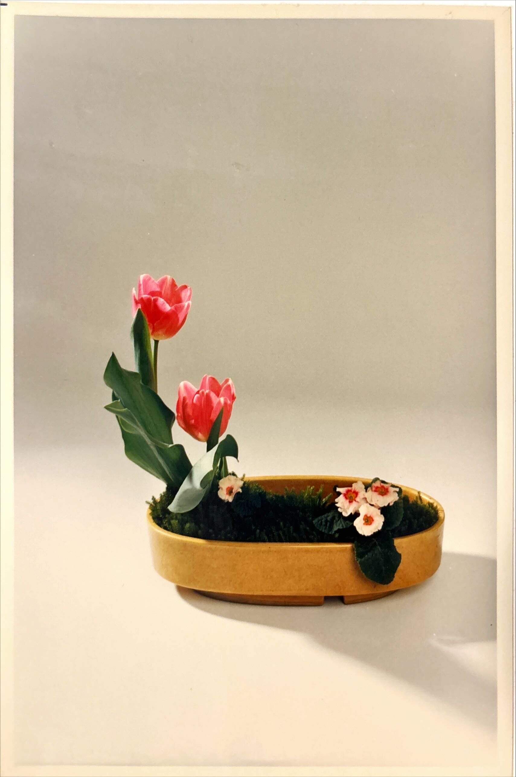 研究会で初めて頂いた95点(横浜支部 師範科2期).JPG